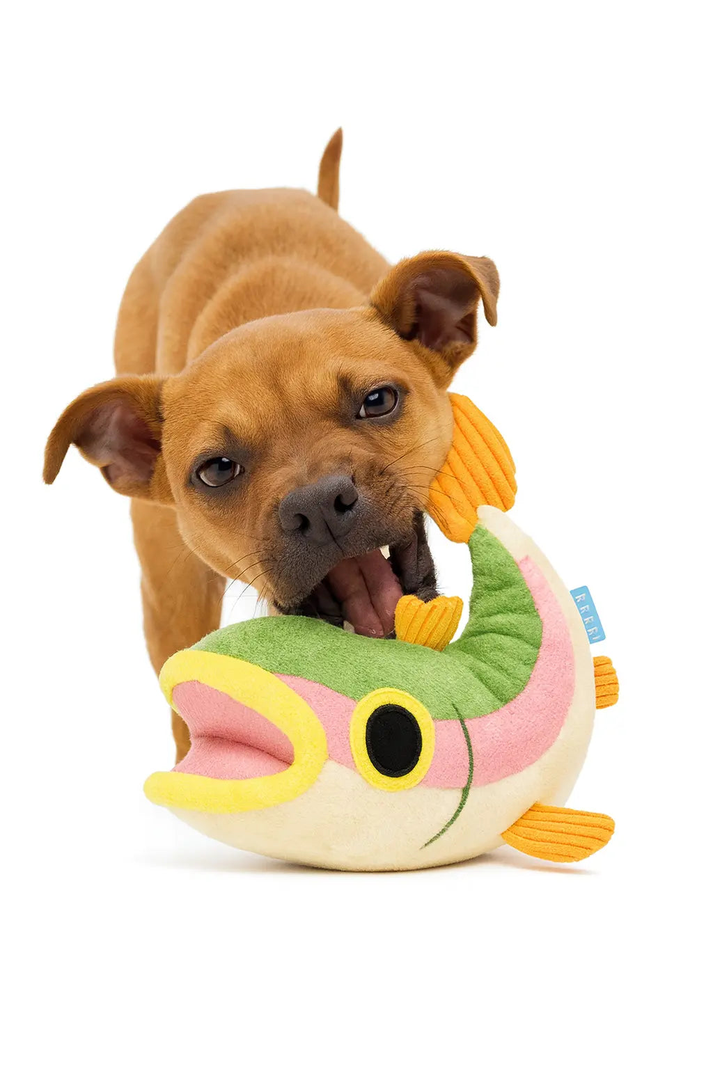 Bark Brooke Trout Plush Dog Toy — Soft Squeaky Plush Toy for Dogs Chew Crew