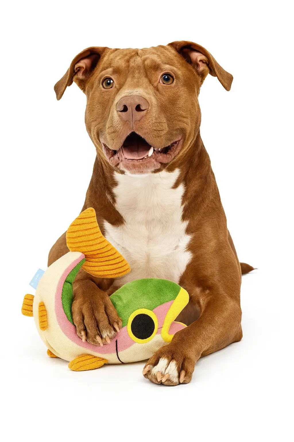 Bark Brooke Trout Plush Dog Toy — Soft Squeaky Plush Toy for Dogs Chew Crew